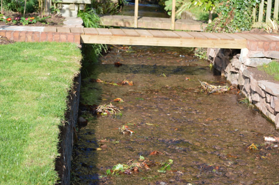 stream-and-gabion